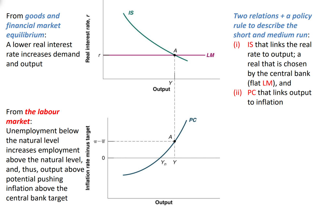 The positive relationship between the output gap and the “inflation gap” is drawn as an upward-sloping curve